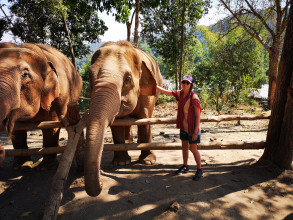 Thailande - Elephant Nature Park